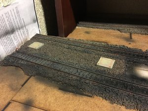 IMG_2822.JPG