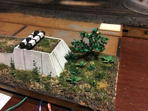 IMG_3067.JPG