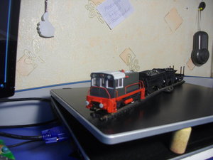 IMGP4113.JPG