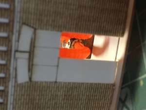 IMG_4270.JPG