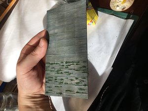 IMG_4287.JPG