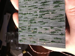 IMG_4296.JPG