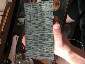 IMG_4297.JPG