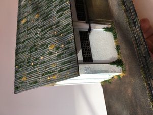 IMG_4302.JPG