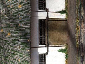 IMG_4303.JPG