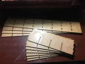 IMG_4379.JPG
