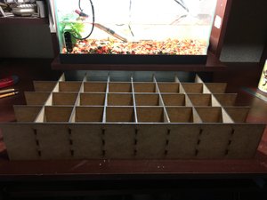 IMG_4397.JPG