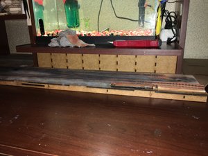 IMG_4401.JPG