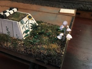 IMG_4491.JPG