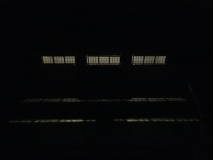IMG_4687.JPG