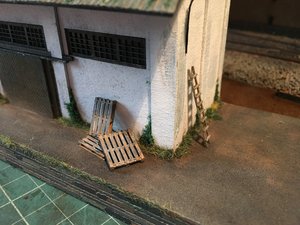 IMG_4736.JPG