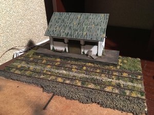 IMG_4781.JPG