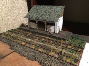 IMG_4782.JPG
