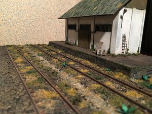 IMG_4784.JPG