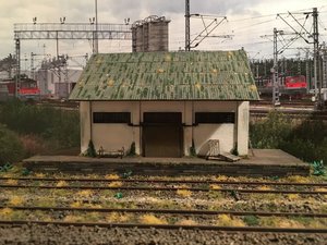 IMG_4791.JPG