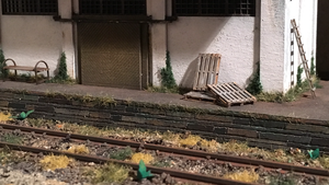 IMG_4796.PNG