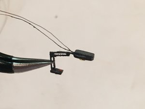 IMG_4874.JPG