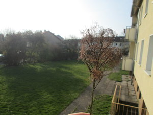 IMG_5851.JPG