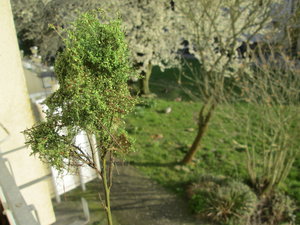 IMG_5853.JPG