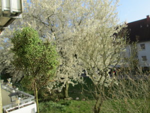 IMG_5854.JPG