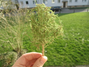 IMG_5857.JPG