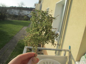 IMG_5858.JPG