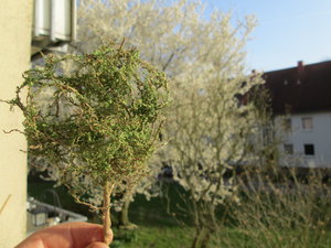 IMG_5859.JPG