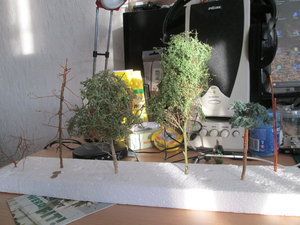 IMG_5860.JPG