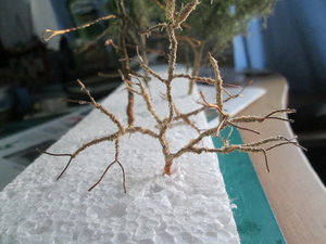 IMG_5883.JPG