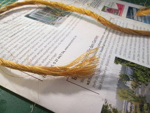 IMG_5884.JPG