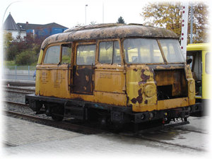 robur1.jpg
