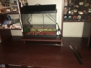 IMG_4377.JPG
