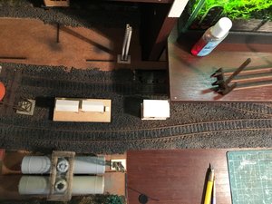 IMG_5779.JPG