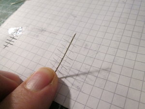 IMG_6042.JPG
