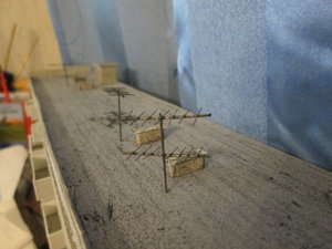 IMG_6049.JPG