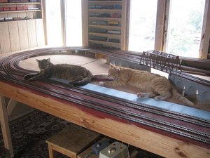 IMG_2217.JPG
