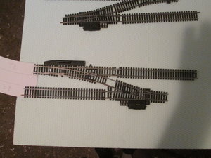 IMG_6442.JPG