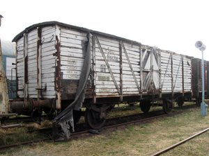 подуставший рыбный ледник