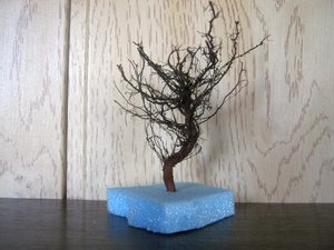 IMG_2435.JPG