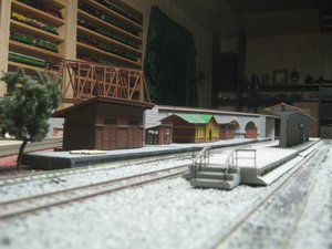 IMG_2570.JPG