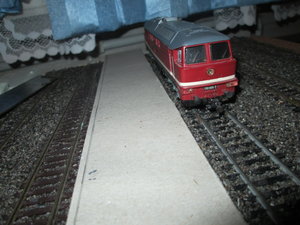 IMG_7199.JPG