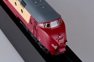 IB7A6993.jpg