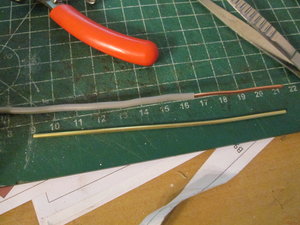 IMG_7333.JPG