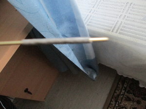 IMG_7336.JPG