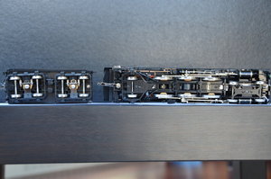 DSC_5519.jpg
