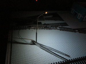 IMG_7359.JPG