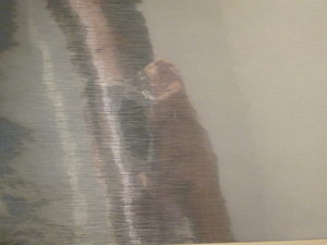 IMG_7378.JPG