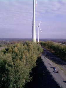 P201012_15.22.jpg