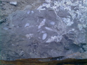 P201012_15.51.jpg