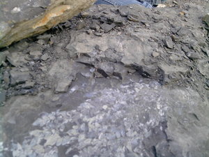 P201012_15.51_[01].jpg